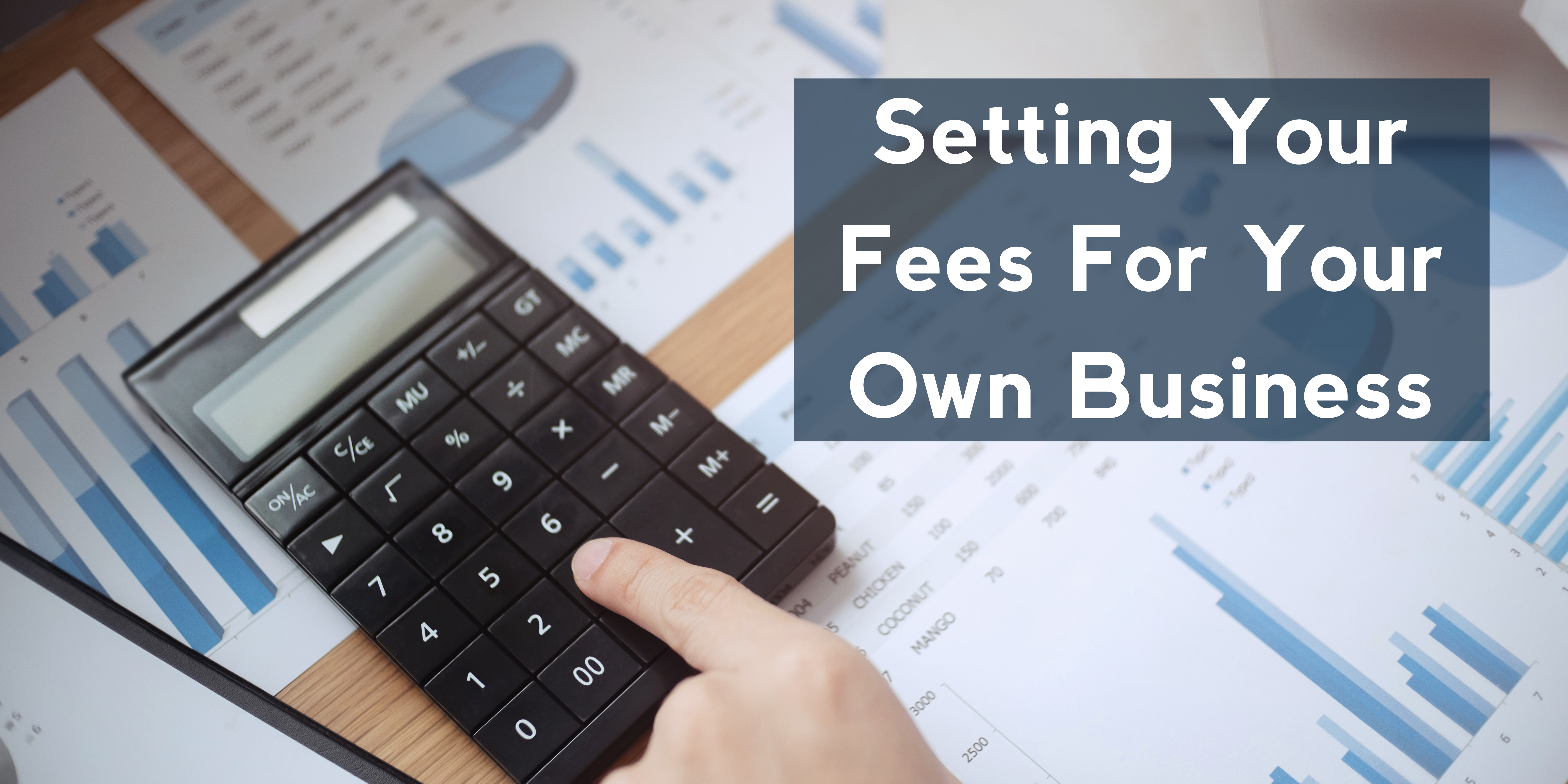 Setting Your Fees For Your Own Business