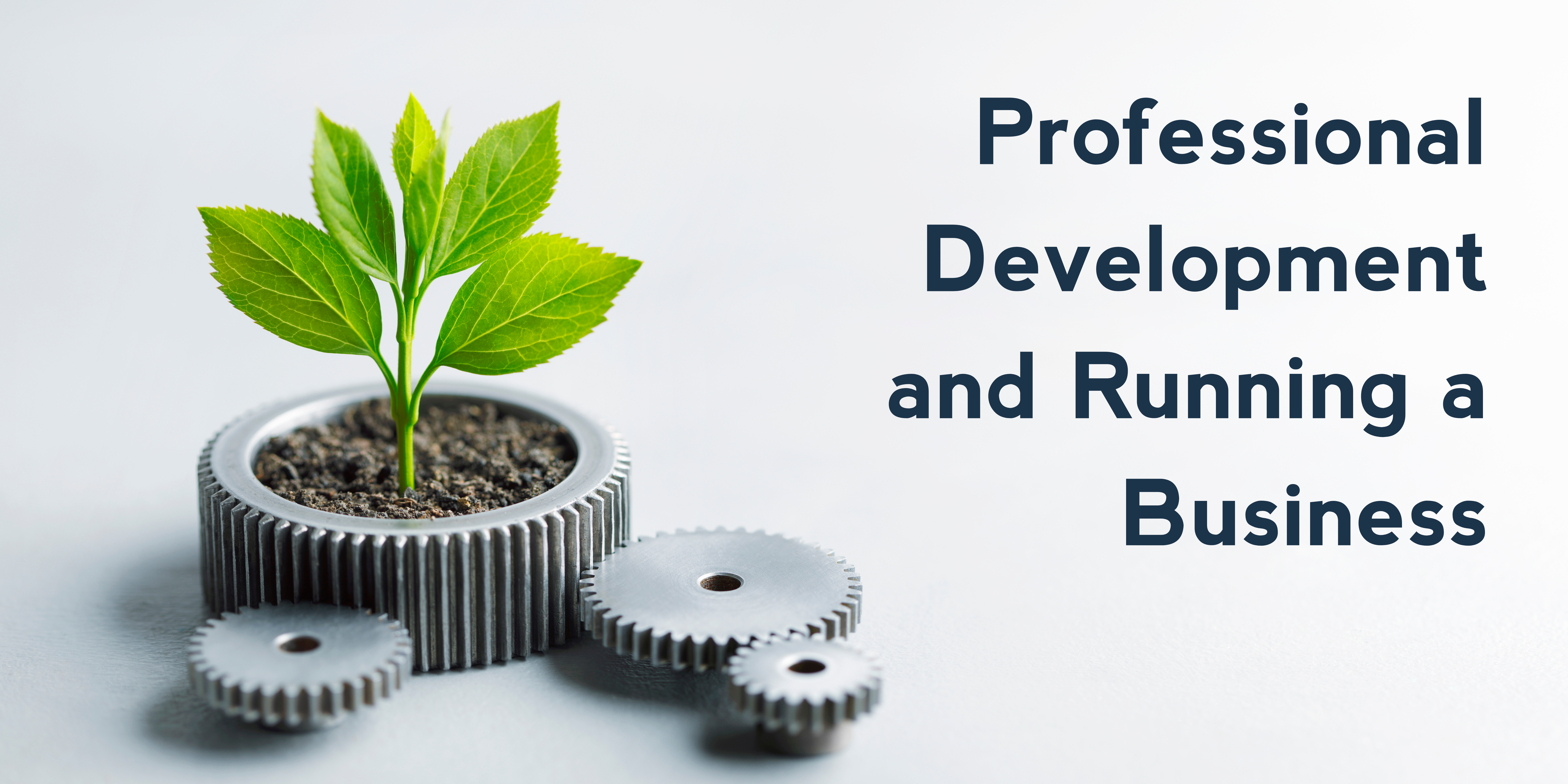 Professional Development and Running a Business