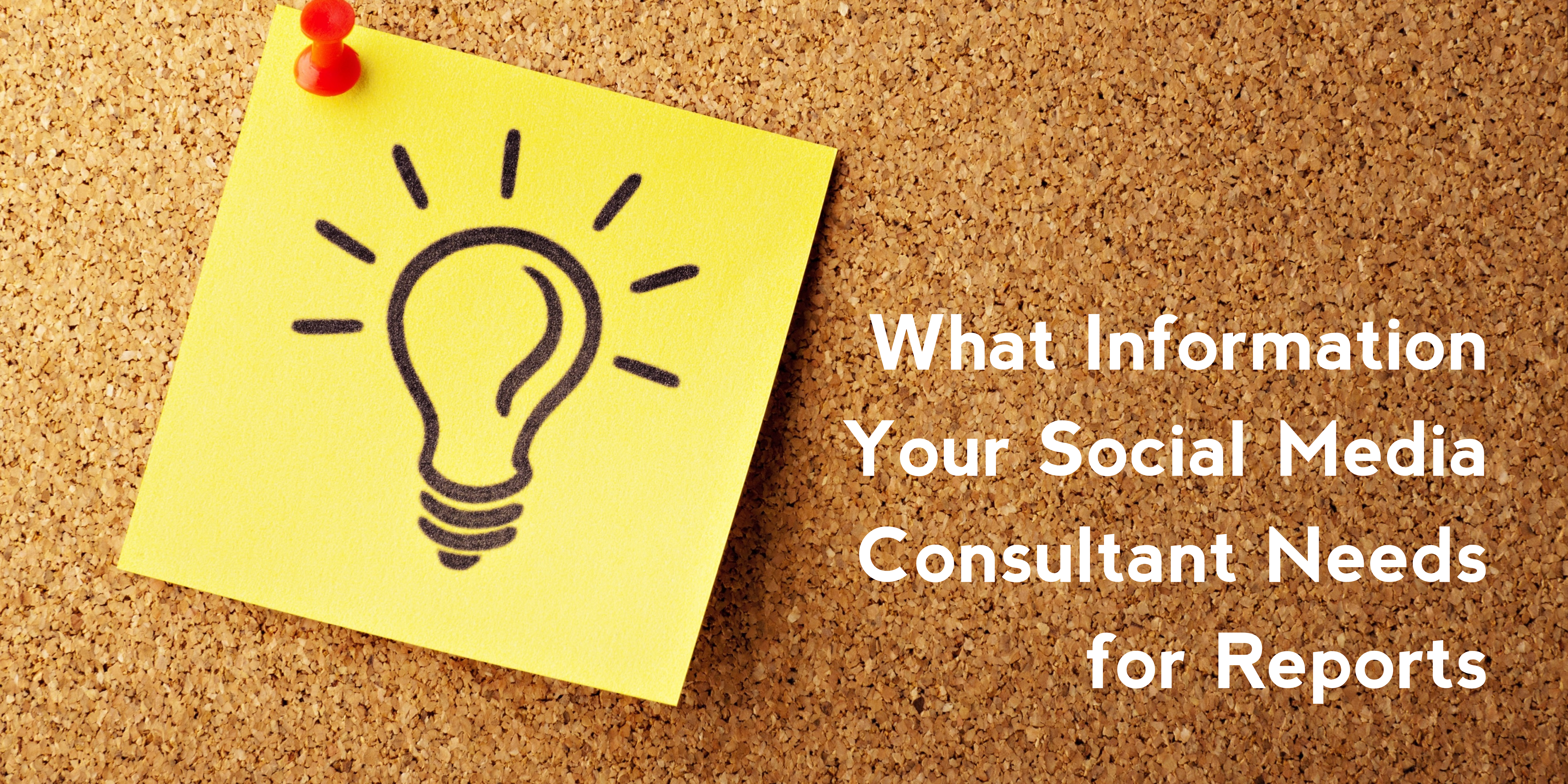 What Information Your Social Media Consultant Needs for Reports