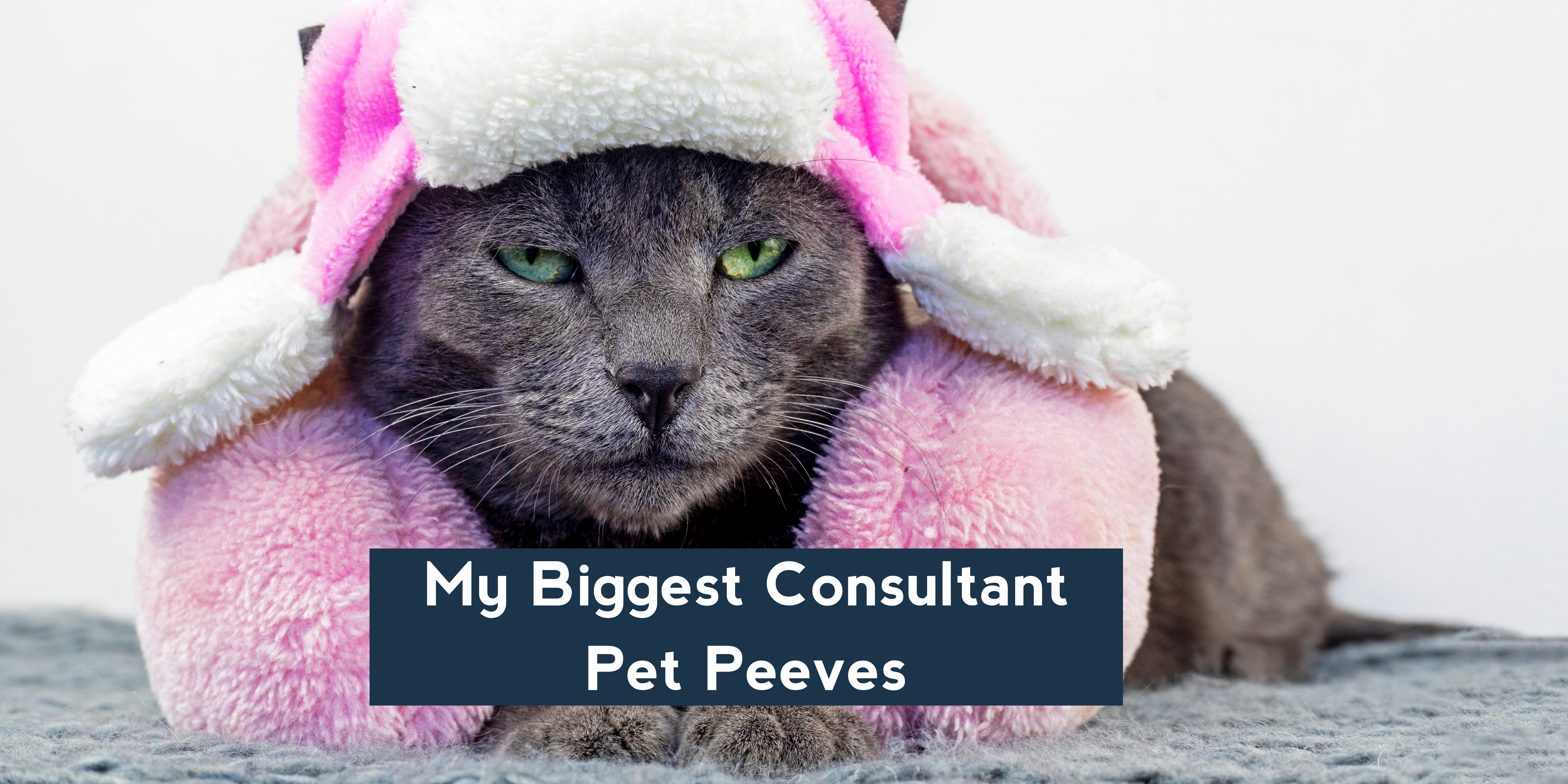 My Biggest Consultant Pet Peeves